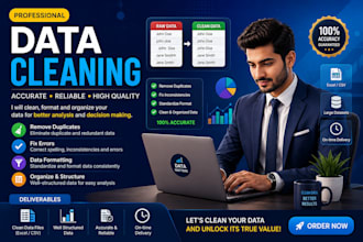do accurate data entry, data cleaning and excel spreadsheet work