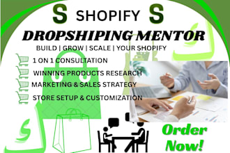 be your shopify dropshipping mentor and ecommerce coach