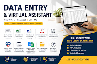 professional data entry virtual assistant excel web research admin support