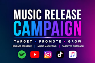 manage your music release with a targeted campaign