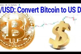 help you set up a bitcoin wallet and learn crypto step by step