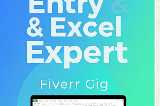 do data entry, excel work and google sheets