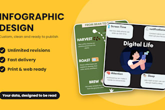 design modern professional custom infographics