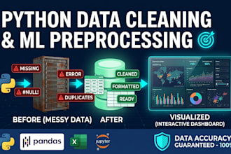 do python data cleaning, formatting, and eda for ml models