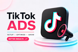 run tiktok ads, setup tik tok ads to get tik tok followers, reach 800k users