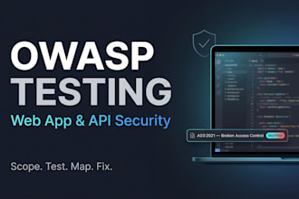 perform owasp web application security testing and vulnerability assessment