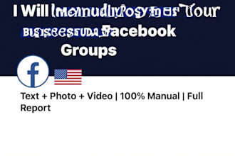manual posting in 50 USA facebook groups with full report