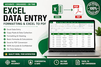 do excel data entry, formatting and convert excel to PDF
