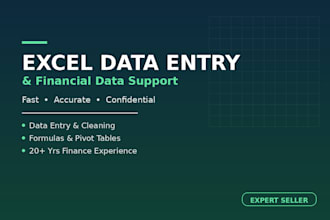 do excel data entry, and financial data management