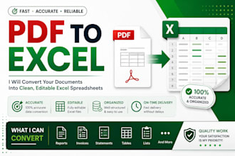 convert pdf to excel accurately in 24 hrs