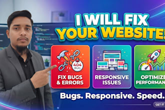 fix website bugs, errors, responsive issues and optimize performance