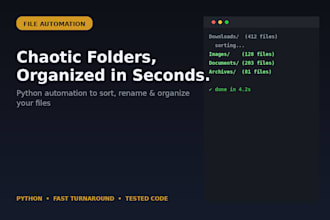 automatically organize and rename your files with python