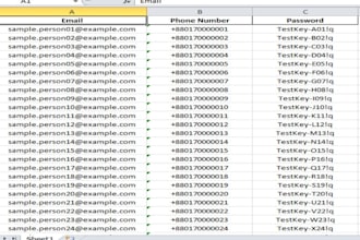 do data entry work