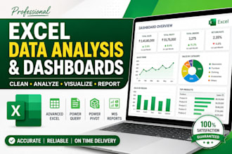 create excel data cleaning, formatting and reporting