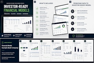 build an investor ready financial model