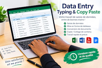 do accurate data entry, typing and copy paste