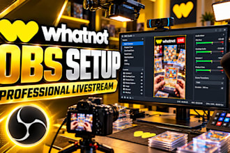 setup professional whatnot livestream with obs studio