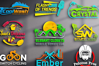 recreate, revamp, redesign, edit, update, modify logo