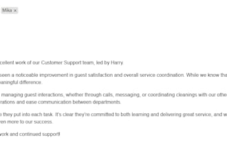 provide professional airbnb guest support and virtual assistance