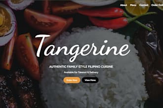 develop ecommerce modern and responsive website with admin dashboard