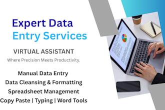 be your virtual assistant for data entry, typing, etc