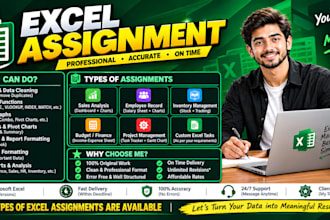 solve microsoft excel assignments, projects and tasks