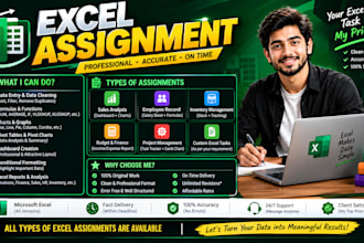 solve microsoft excel assignments, projects and tasks