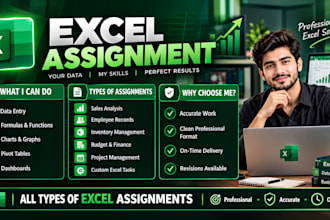 solve microsoft excel assignments, projects and tasks