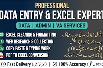 do expert data entry and web research work