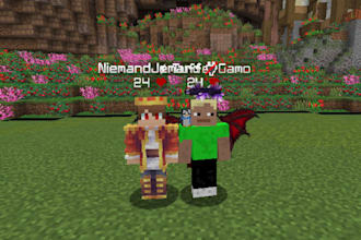 coach you to lt3 in sword, axe, smp, crystal and mace