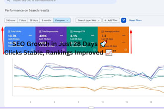 do professional SEO for your website