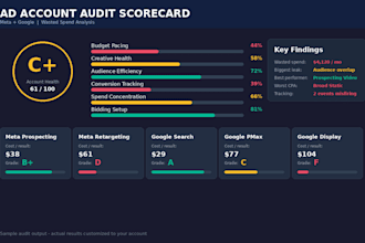 audit your facebook and google ads account and find wasted spend