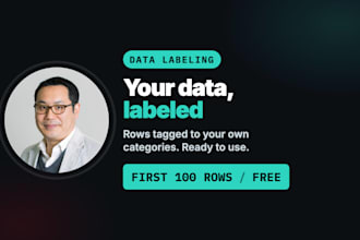 do data entry, data labeling, product categorization and data annotation