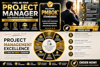 be your professional project manager