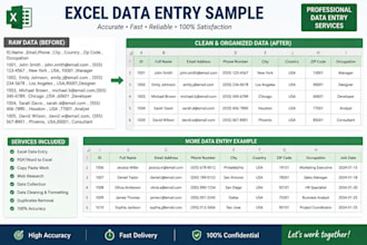 do accurate and professional data entry copy paste pdfconversion and webresearch