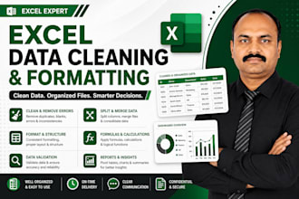 clean, organize, and analyze your excel data