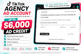create tiktok agency ads accounts with 6000 dollars ad credit