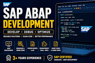 develop, debug and optimize sap abap programs