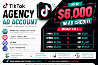 create a verified tiktok business center with 3 agency ads accounts