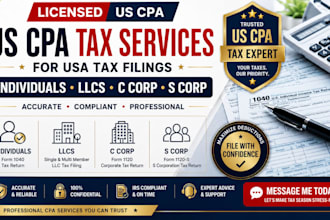 provide us cpa tax filing services for individuals, llcs, c corp and s corp