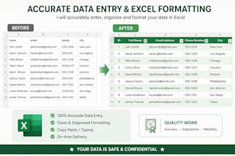 do accurate data entry and excel data formatting