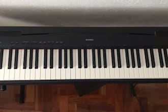 play piano or synths for your song
