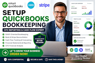setup quickbook bookeeping cfo cash flow stripe gaap xero bank reconciliation
