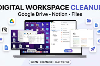 organize your google drive, notion and digital files