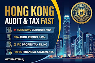 do hong kong statutory audit, CPA audit report, financial statements, tax filing