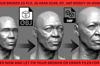 recreate 3d file cleanup convert stl 3mf obj watertight head scan for printing