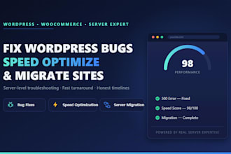 fix wordpress bugs, speed optimize and migrate your site