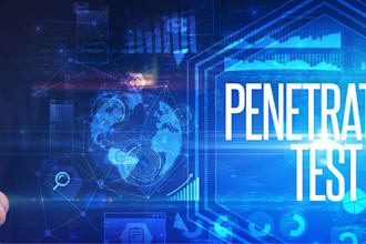 perform professional web application penetration testing