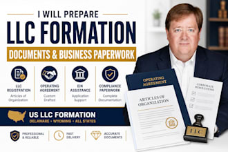 prepare delaware llc formation documents, bylaws, and corporate records