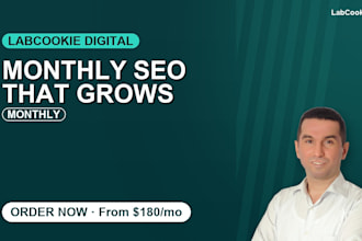 provide monthly SEO implementation and optimization